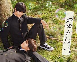 天津前端seo优化